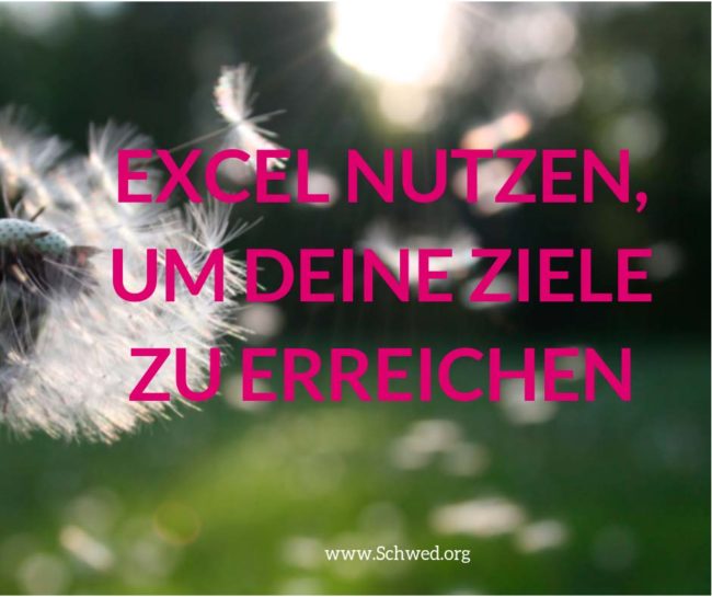 Ziele erreichen mit Excel